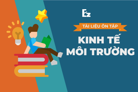 Kinh tế môi trường TMU