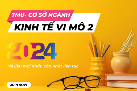 TMU - Kinh tế vi mô 2