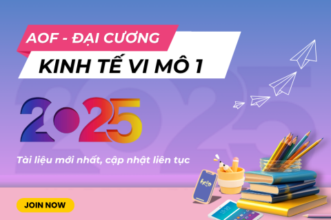 AOF - Kinh tế vi mô 1