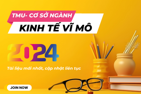 TMU - Kinh tế vĩ mô 1