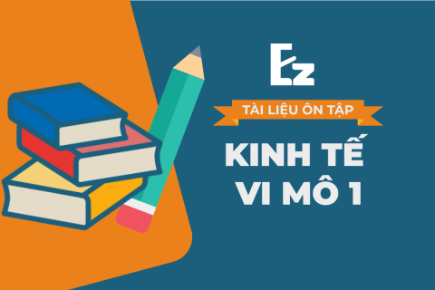 TMU Kinh tế vi mô 1