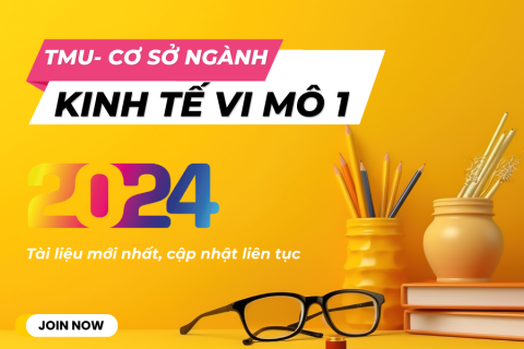TMU - Kinh tế vi mô 1
